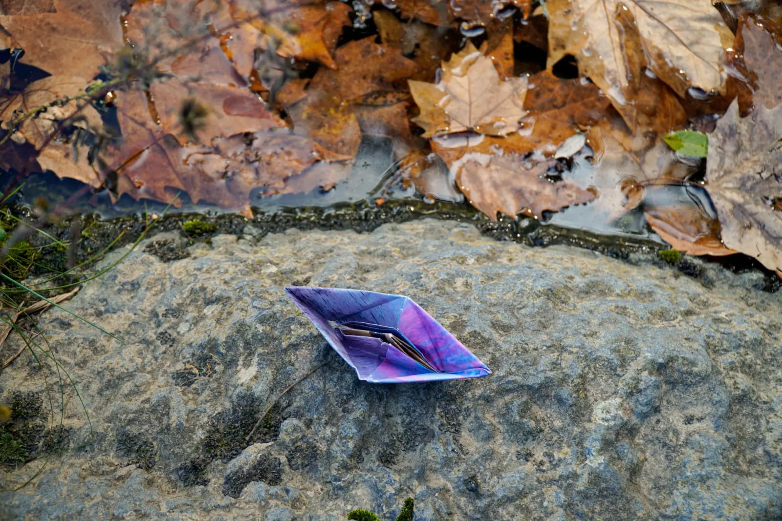 Know Your Best Performing Branches SFTP Thumbnail.webp